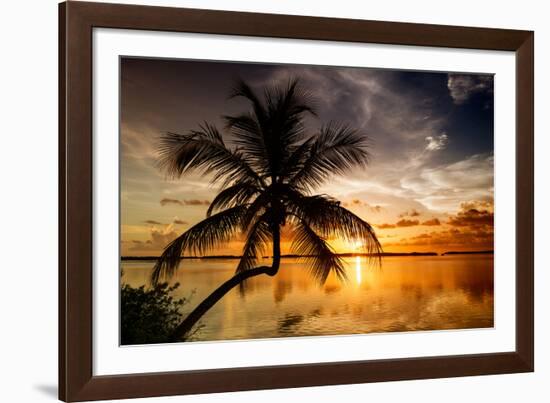 Palm Paradise at Sunset - Florida - USA-Philippe Hugonnard-Framed Photographic Print