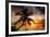 Palm Paradise at Sunset - Florida - USA-Philippe Hugonnard-Framed Photographic Print