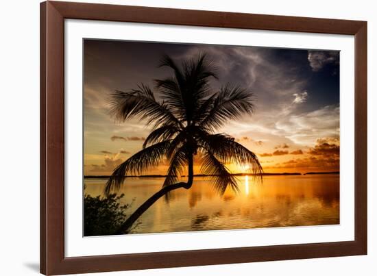 Palm Paradise at Sunset - Florida - USA-Philippe Hugonnard-Framed Photographic Print