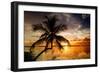 Palm Paradise at Sunset - Florida - USA-Philippe Hugonnard-Framed Premium Photographic Print