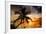 Palm Paradise at Sunset - Florida - USA-Philippe Hugonnard-Framed Photographic Print