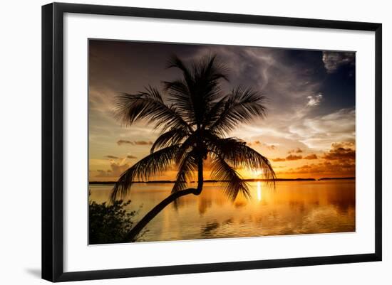 Palm Paradise at Sunset - Florida - USA-Philippe Hugonnard-Framed Photographic Print