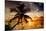 Palm Paradise at Sunset - Florida - USA-Philippe Hugonnard-Mounted Photographic Print