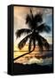 Palm Paradise at Sunset - Florida - USA-Philippe Hugonnard-Framed Stretched Canvas