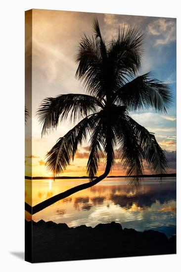 Palm Paradise at Sunset - Florida - USA-Philippe Hugonnard-Stretched Canvas