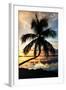 Palm Paradise at Sunset - Florida - USA-Philippe Hugonnard-Framed Photographic Print