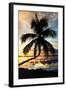 Palm Paradise at Sunset - Florida - USA-Philippe Hugonnard-Framed Photographic Print