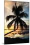 Palm Paradise at Sunset - Florida - USA-Philippe Hugonnard-Mounted Photographic Print