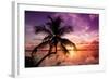 Palm Paradise at Sunset - Florida - USA-Philippe Hugonnard-Framed Photographic Print