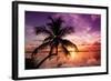 Palm Paradise at Sunset - Florida - USA-Philippe Hugonnard-Framed Photographic Print