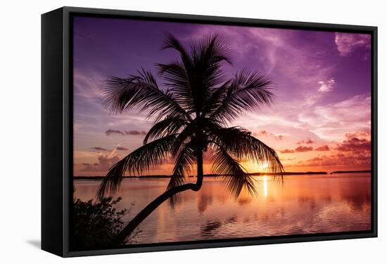 Palm Paradise at Sunset - Florida - USA-Philippe Hugonnard-Framed Stretched Canvas