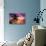 Palm Paradise at Sunset - Florida - USA-Philippe Hugonnard-Stretched Canvas displayed on a wall