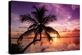 Palm Paradise at Sunset - Florida - USA-Philippe Hugonnard-Stretched Canvas