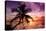 Palm Paradise at Sunset - Florida - USA-Philippe Hugonnard-Stretched Canvas