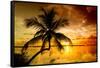 Palm Paradise at Sunset - Florida - USA-Philippe Hugonnard-Framed Stretched Canvas