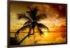 Palm Paradise at Sunset - Florida - USA-Philippe Hugonnard-Framed Photographic Print