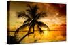 Palm Paradise at Sunset - Florida - USA-Philippe Hugonnard-Stretched Canvas