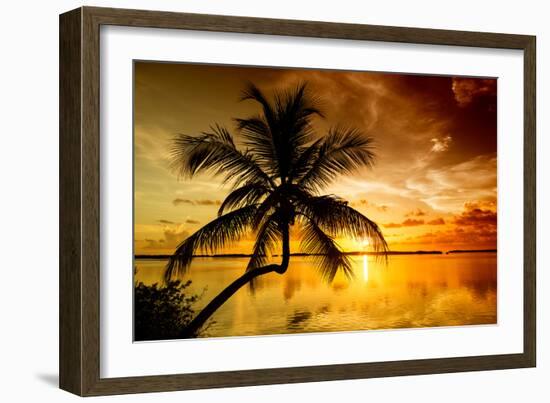 Palm Paradise at Sunset - Florida - USA-Philippe Hugonnard-Framed Photographic Print