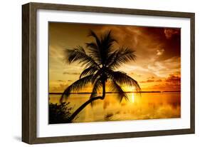 Palm Paradise at Sunset - Florida - USA-Philippe Hugonnard-Framed Photographic Print