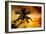 Palm Paradise at Sunset - Florida - USA-Philippe Hugonnard-Framed Photographic Print