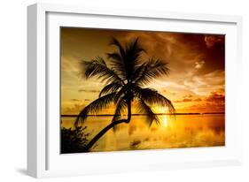 Palm Paradise at Sunset - Florida - USA-Philippe Hugonnard-Framed Photographic Print