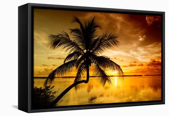 Palm Paradise at Sunset - Florida - USA-Philippe Hugonnard-Framed Stretched Canvas