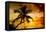 Palm Paradise at Sunset - Florida - USA-Philippe Hugonnard-Framed Stretched Canvas