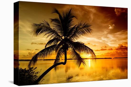 Palm Paradise at Sunset - Florida - USA-Philippe Hugonnard-Stretched Canvas