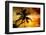 Palm Paradise at Sunset - Florida - USA-Philippe Hugonnard-Framed Photographic Print