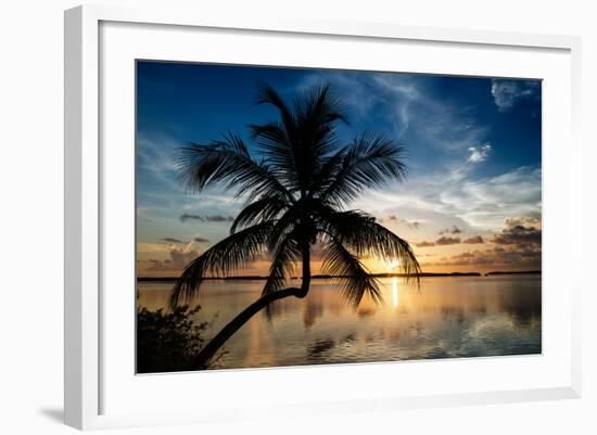 Palm Paradise at Sunset - Florida - USA-Philippe Hugonnard-Framed Photographic Print