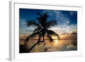 Palm Paradise at Sunset - Florida - USA-Philippe Hugonnard-Framed Photographic Print