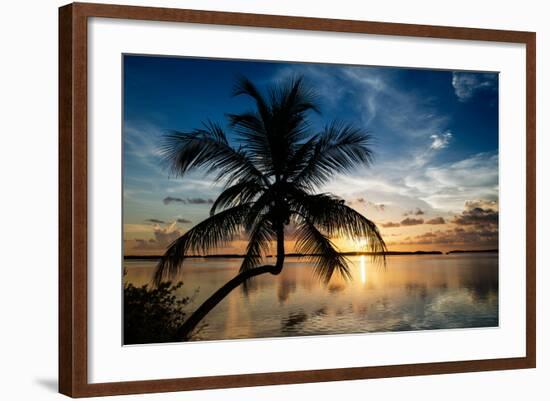 Palm Paradise at Sunset - Florida - USA-Philippe Hugonnard-Framed Photographic Print