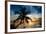 Palm Paradise at Sunset - Florida - USA-Philippe Hugonnard-Framed Photographic Print