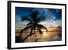 Palm Paradise at Sunset - Florida - USA-Philippe Hugonnard-Framed Photographic Print