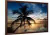 Palm Paradise at Sunset - Florida - USA-Philippe Hugonnard-Framed Photographic Print