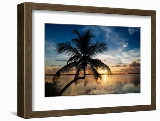 Palm Paradise at Sunset - Florida - USA-Philippe Hugonnard-Framed Photographic Print