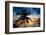 Palm Paradise at Sunset - Florida - USA-Philippe Hugonnard-Framed Photographic Print