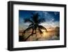 Palm Paradise at Sunset - Florida - USA-Philippe Hugonnard-Framed Photographic Print