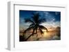 Palm Paradise at Sunset - Florida - USA-Philippe Hugonnard-Framed Photographic Print