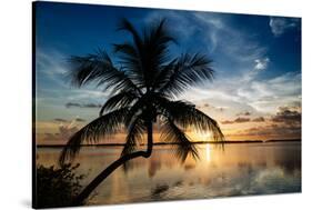 Palm Paradise at Sunset - Florida - USA-Philippe Hugonnard-Stretched Canvas