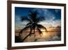 Palm Paradise at Sunset - Florida - USA-Philippe Hugonnard-Framed Photographic Print