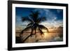 Palm Paradise at Sunset - Florida - USA-Philippe Hugonnard-Framed Photographic Print