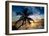 Palm Paradise at Sunset - Florida - USA-Philippe Hugonnard-Framed Photographic Print