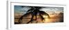 Palm Paradise at Sunset - Florida - USA-Philippe Hugonnard-Framed Photographic Print