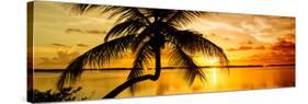 Palm Paradise at Sunset - Florida - USA-Philippe Hugonnard-Stretched Canvas