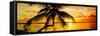 Palm Paradise at Sunset - Florida - USA-Philippe Hugonnard-Framed Stretched Canvas