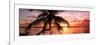 Palm Paradise at Sunset - Florida - USA-Philippe Hugonnard-Framed Photographic Print