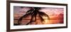 Palm Paradise at Sunset - Florida - USA-Philippe Hugonnard-Framed Photographic Print