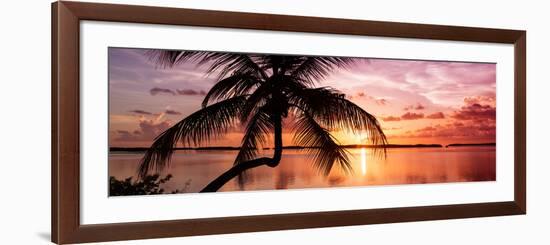 Palm Paradise at Sunset - Florida - USA-Philippe Hugonnard-Framed Photographic Print