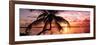 Palm Paradise at Sunset - Florida - USA-Philippe Hugonnard-Framed Photographic Print